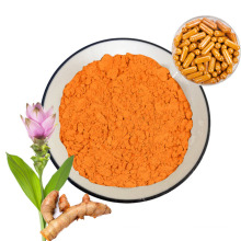ISO Turmeric Root Extract Powder Antibacterial Antioxidant 95% Curcumin